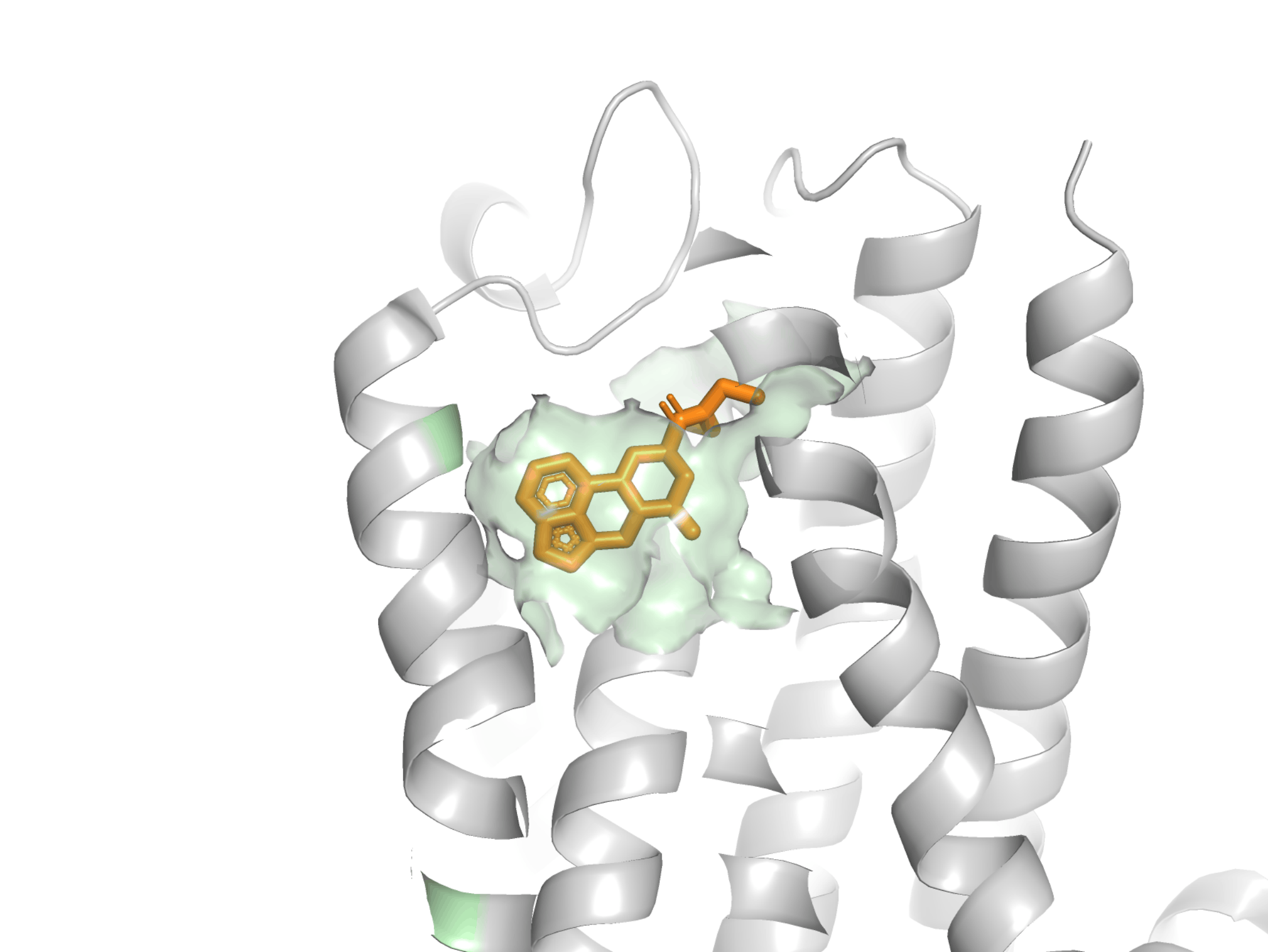 7wc6_pymol.gif